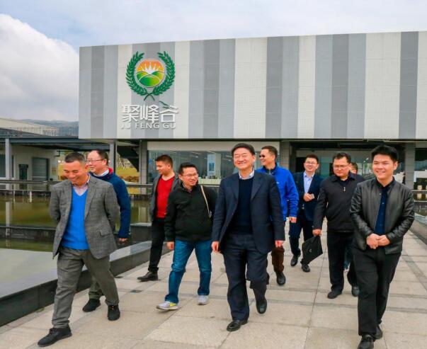 集团党委书记、董事长任丁率队调研聚峰谷