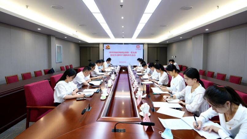 尊龙凯时集团党委书记、董事长任丁参加总部第一党支部党史学习教育专题组织生活会