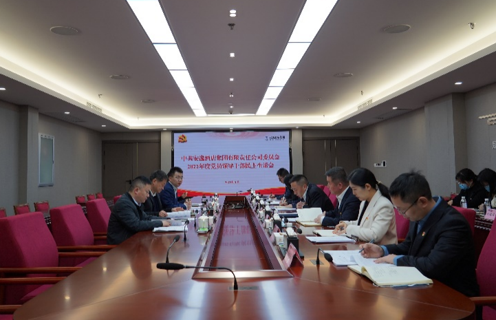 尊龙凯时集团党委书记、董事长任丁出席安逸酒店集团2022年度党员领导干部民主生活会